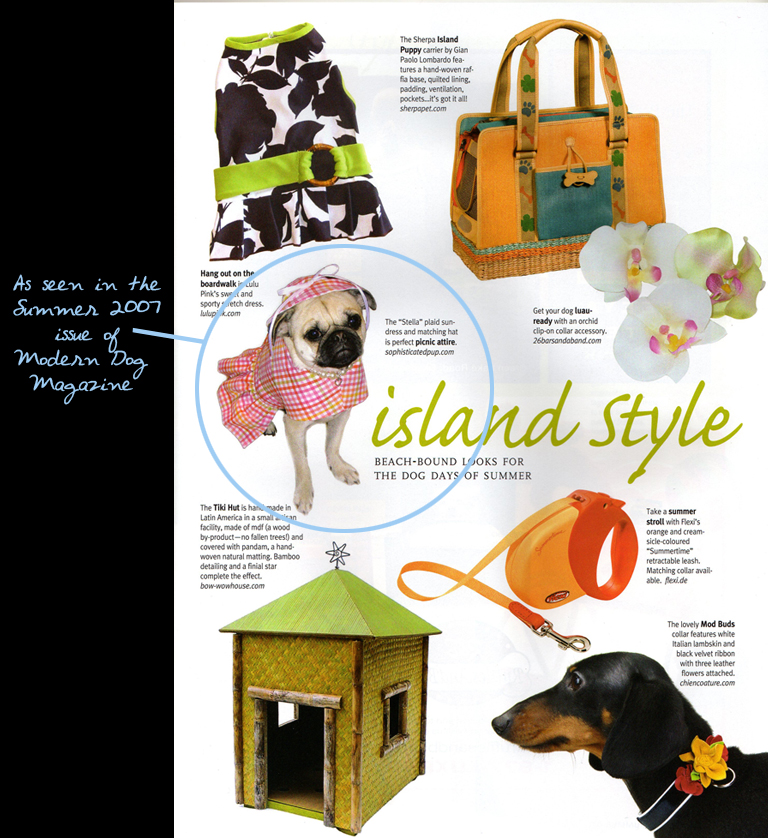modern-dog-feature-for-web.jpg